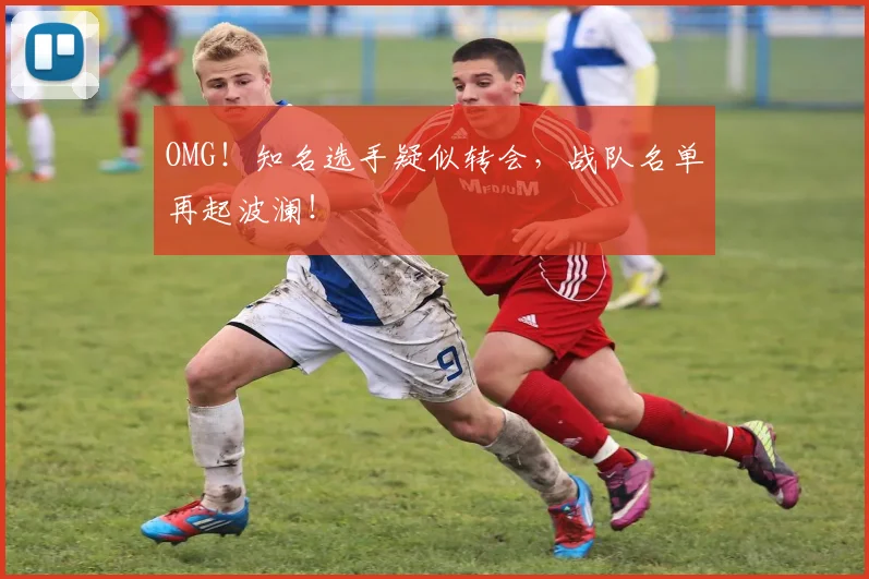 OMG!知名选手疑似转会,战队名单再起波澜!
