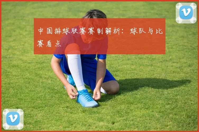 中国排球联赛赛制解析：球队与比赛看点